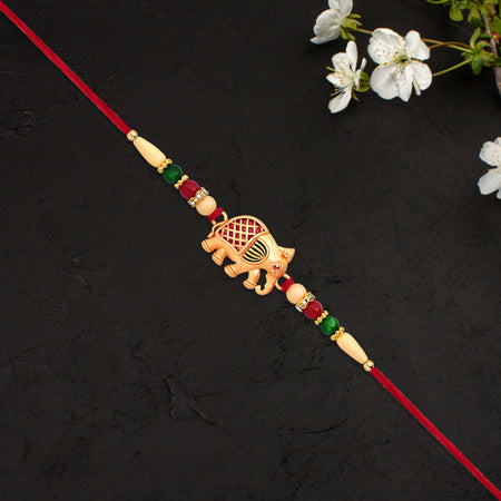 Bhai Ki Rakhi A Sisters Heartfelt Promise