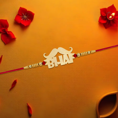 Bhai Ki Rakhi Love Protection And Laughter