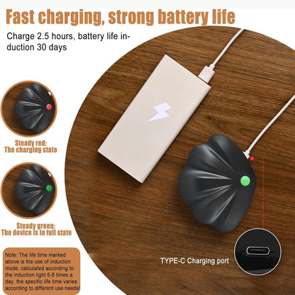 Shell-shaped Motion Sensor Night Light