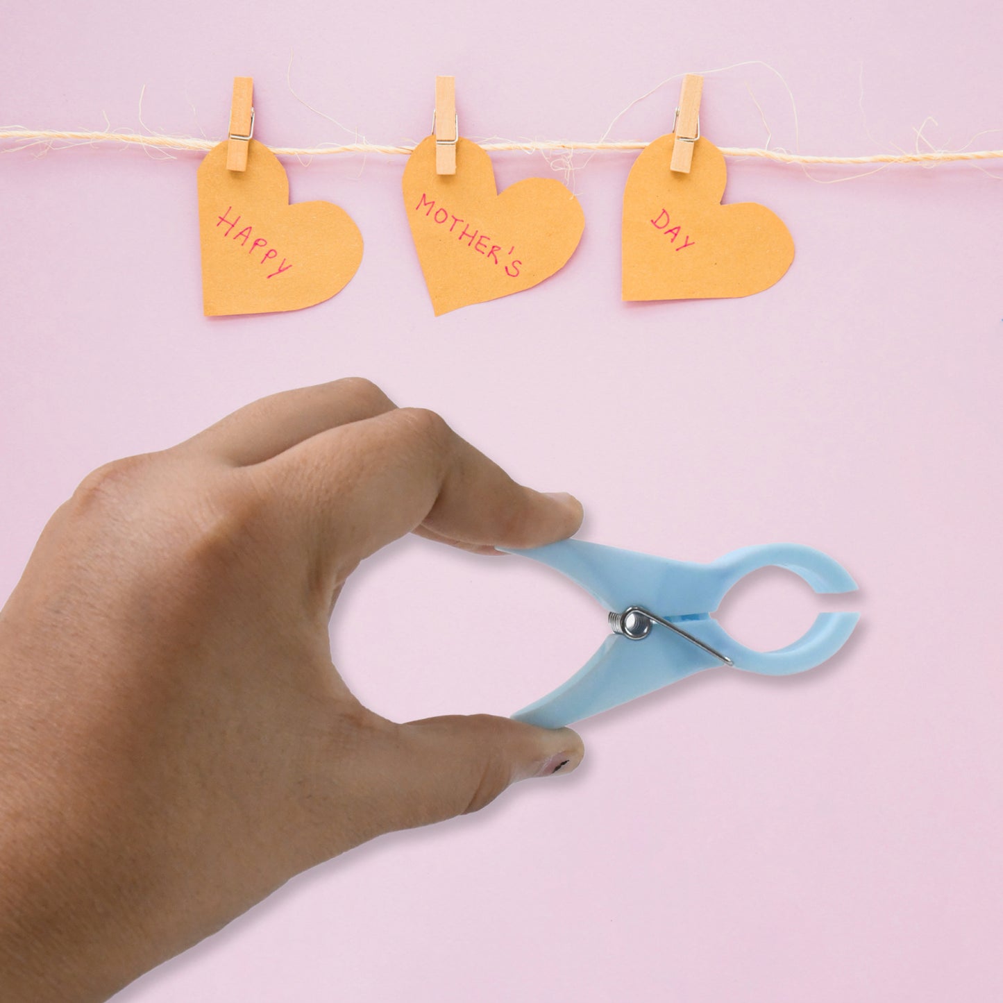 Plastic Cloth Clips (Multicolour) - Pack Of 12