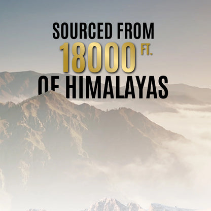 Og Wellness Pure Himalayan Shilajit Resin (20 Gm  1 Pc)